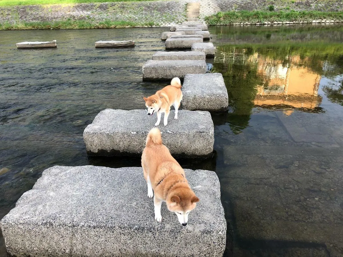 Seibido Inn Kyoto 3*,